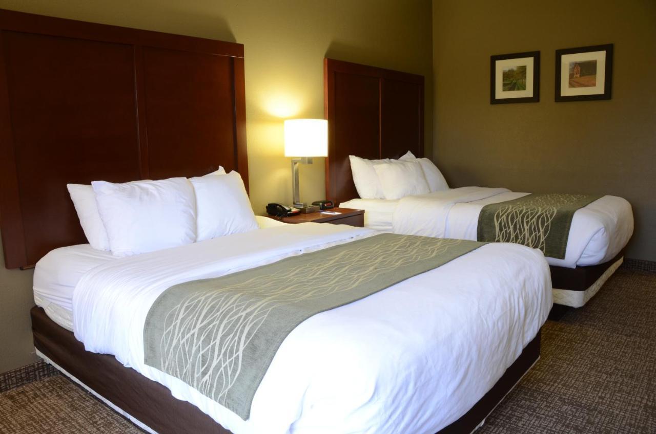 Comfort Inn & Suites Cave City Exterior photo