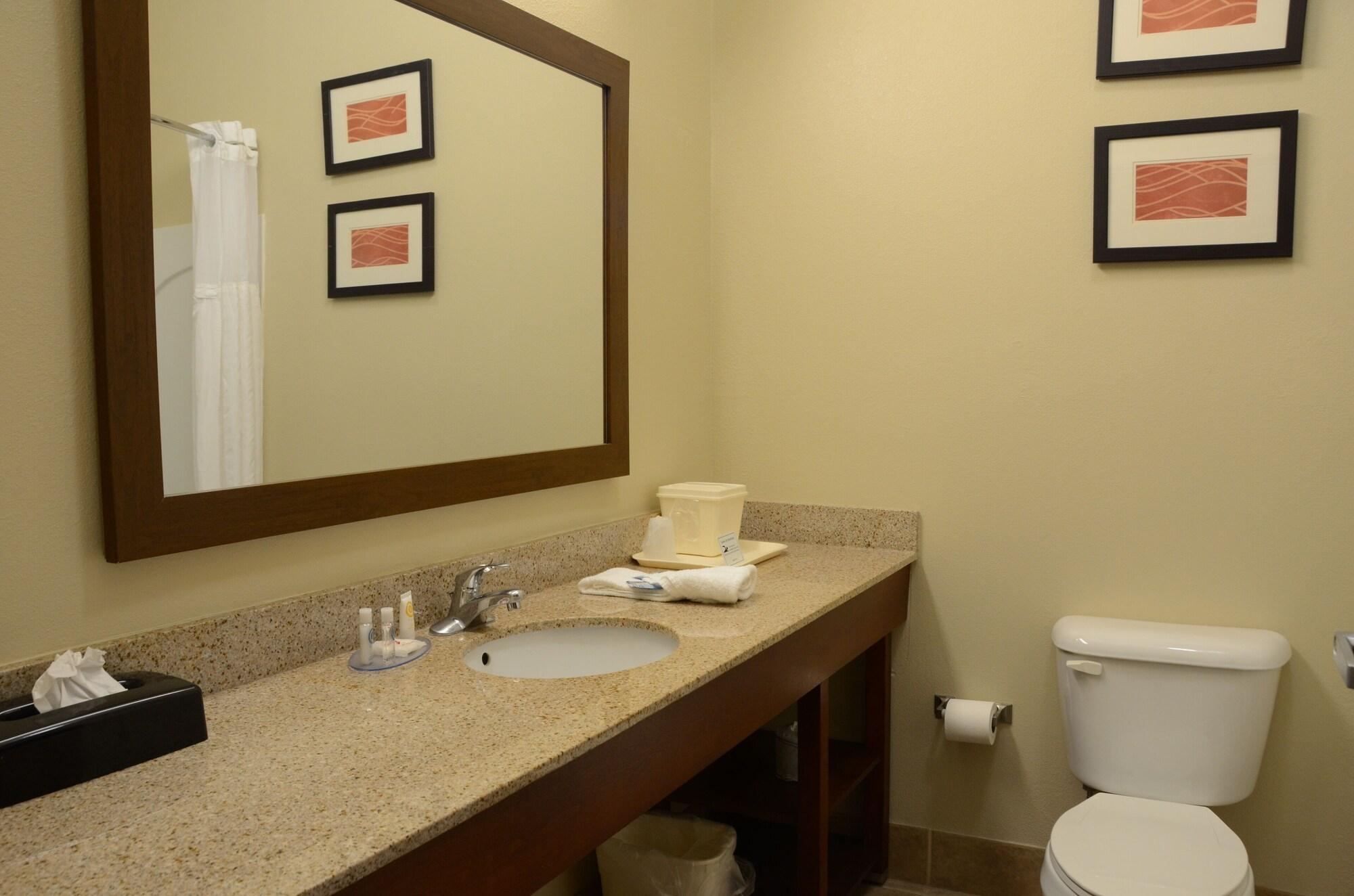 Comfort Inn & Suites Cave City Exterior photo