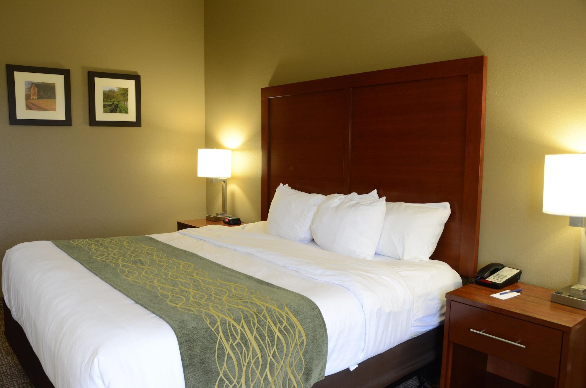 Comfort Inn & Suites Cave City Exterior photo